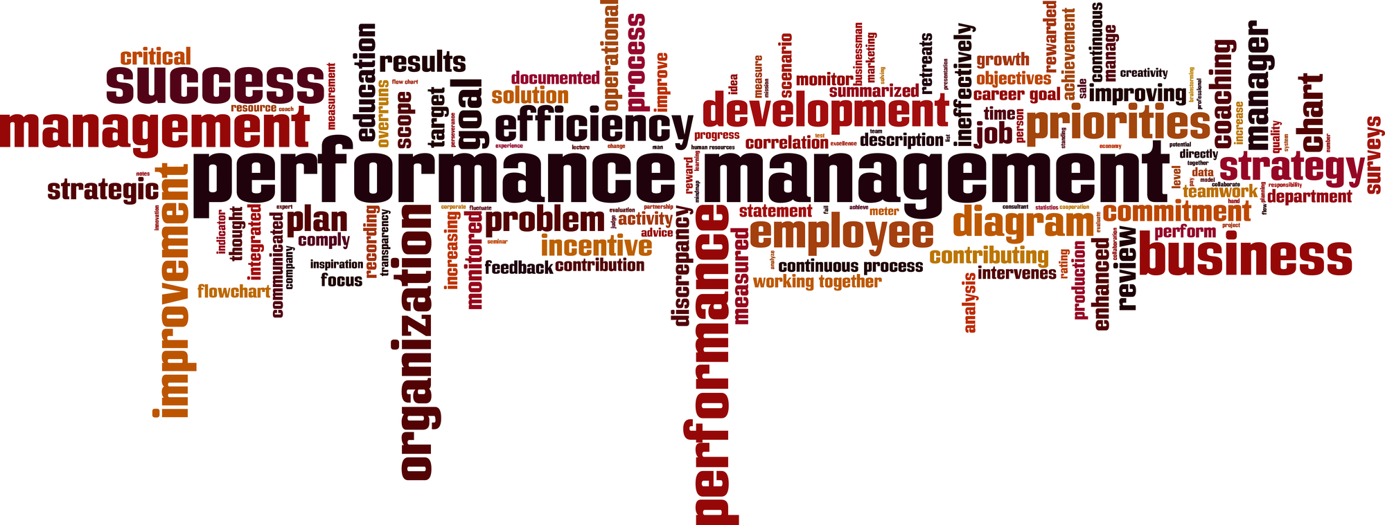 A word cloud focused around "performance management", some of the associated terms generated consist of: "management, success, improvement, organization, etc."